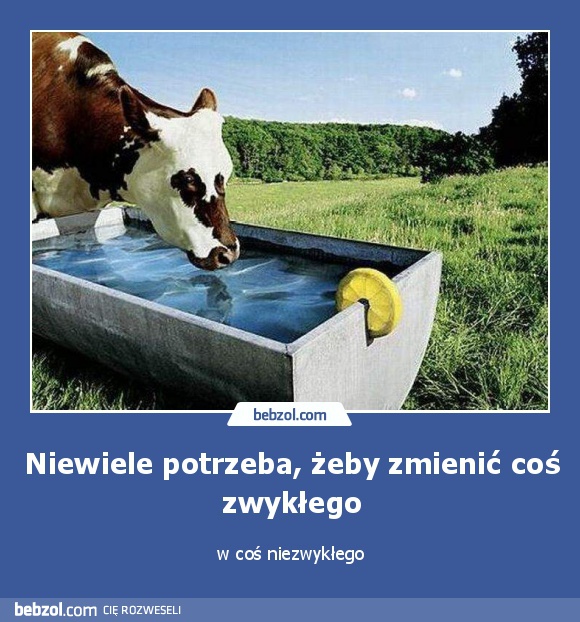 Niewiele potrzeba, żeby zmienić coś zwykłego