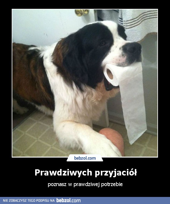 Prawdziwych przyjaciół