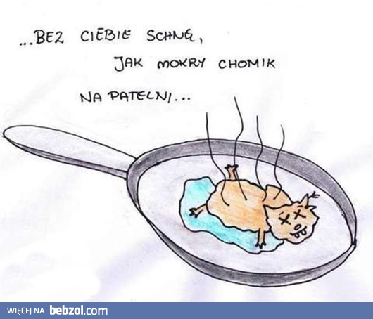 Bez ciebie schnę jak chomik na patelni...