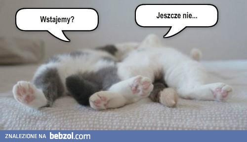 Wstajemy?