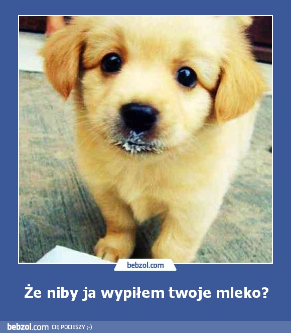 Że niby ja wypiłem twoje mleko?