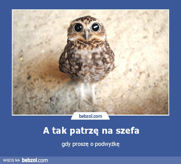 A tak patrzę na szefa