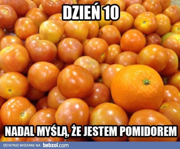 Tymczasem w Tesco