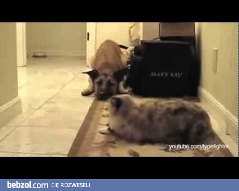 I kto tu jest panem domu?