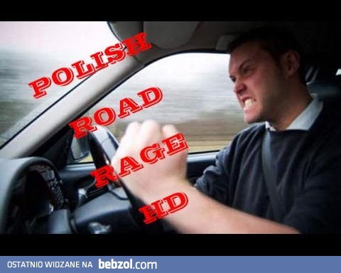 Bluzgi na polskich drogach