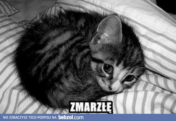 Zimno