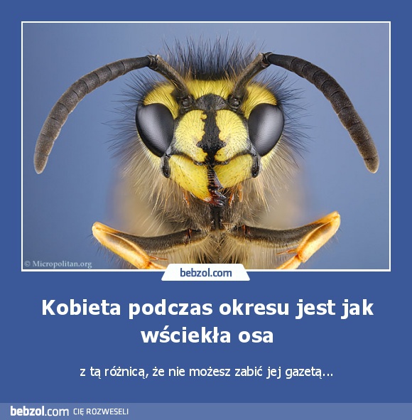 Kobieta podczas okresu jest jak wściekła osa
