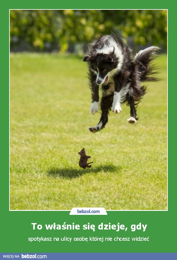 To właśnie się dzieje, gdy