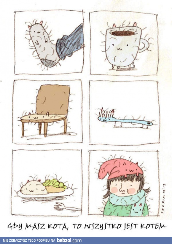 Gdy masz kota