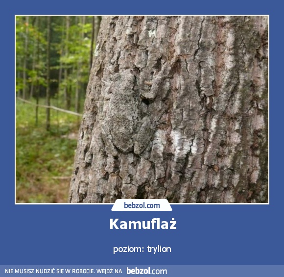 Kamuflaż