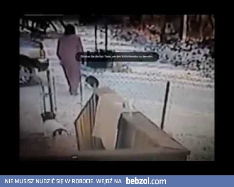 Nie zadzieraj z kotem