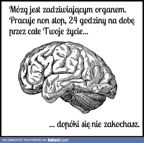 Mózg jest zadziwiającym organem