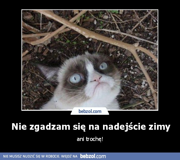 Nie zgadzam się na nadejście zimy