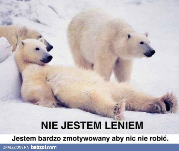 Nie jestem leniem