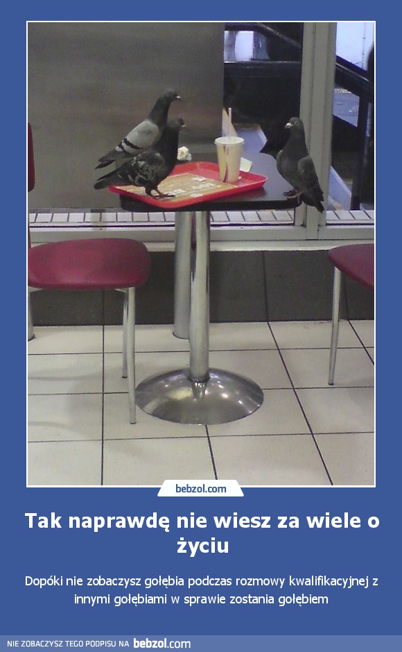 Tak naprawdę nie wiesz za wiele o życiu