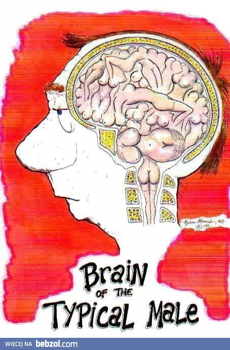 Mózg mężczyzny