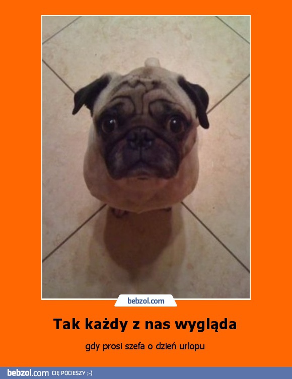 Tak każdy z nas wygląda