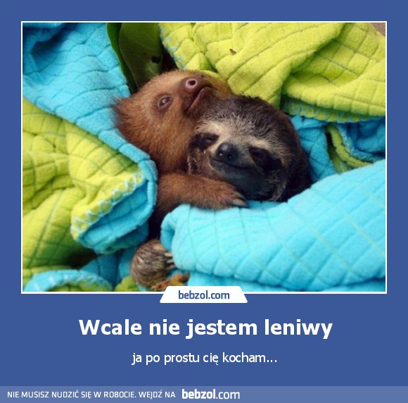 Wcale nie jestem leniwy