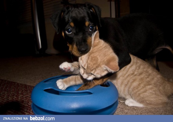 Ja go tylko przytulałem