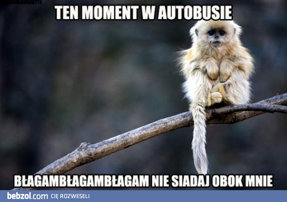 Ten moment w autobusie