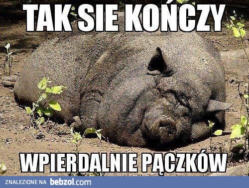 Przyjrzyj się dobrze