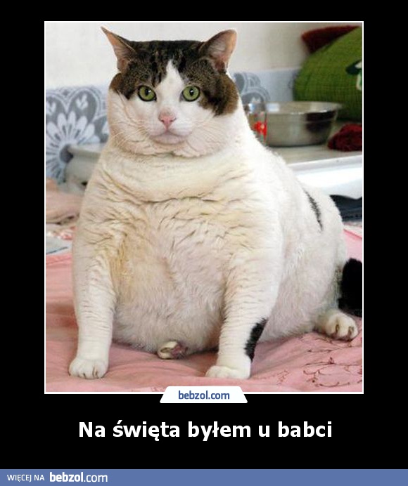 Na święta byłem u babci