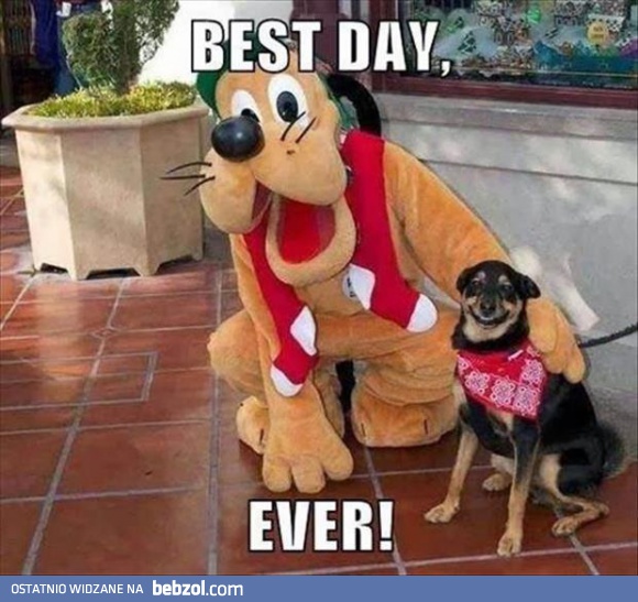 Najlepszy dzień na świecie