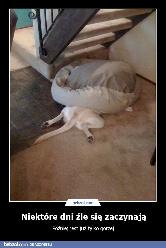 Niektóre dni źle się zaczynają