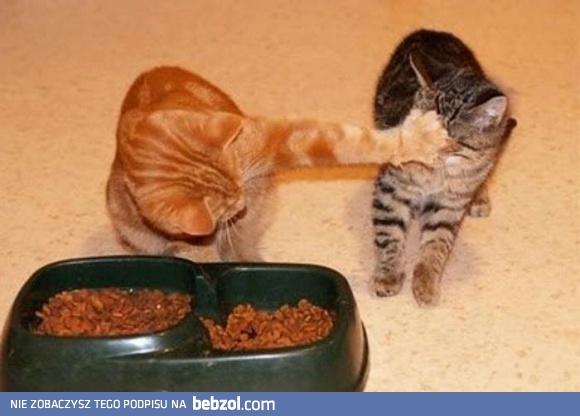 Spadaj, teraz ja jem