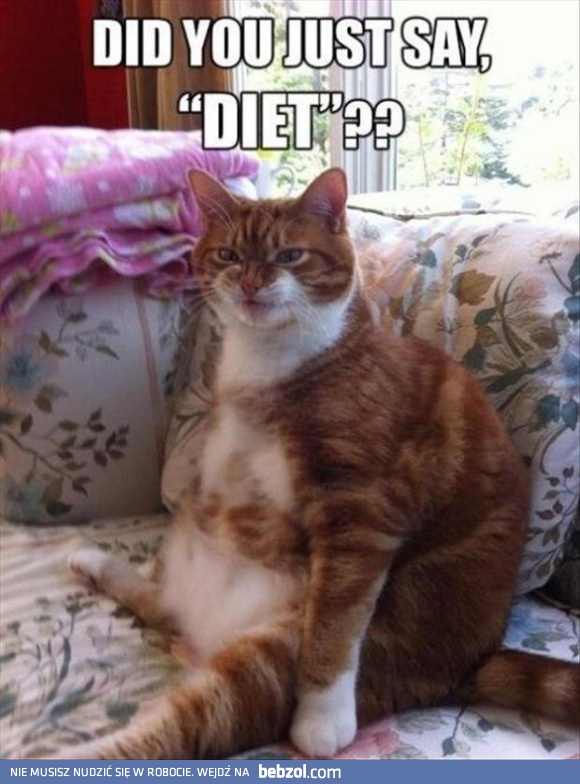 Czy ty powiedziałeś dieta?