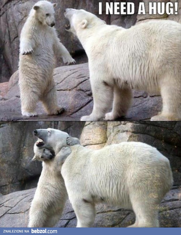 Potrzebuję przytulania!