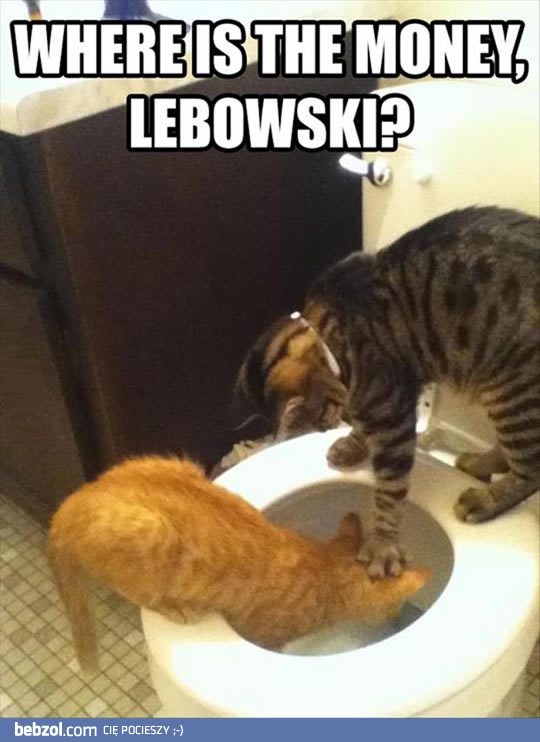 Gdzie są pieniądze!