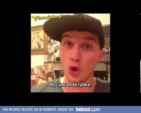 Różnica między złotymi, a czarnymi rybkami