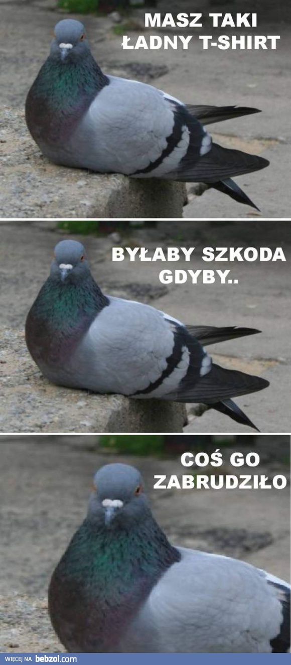 Piękna koszulka, nowa?