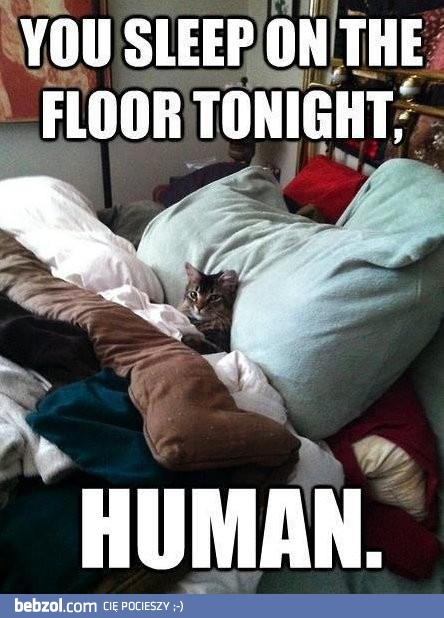 Śpisz na podłodze człowieku