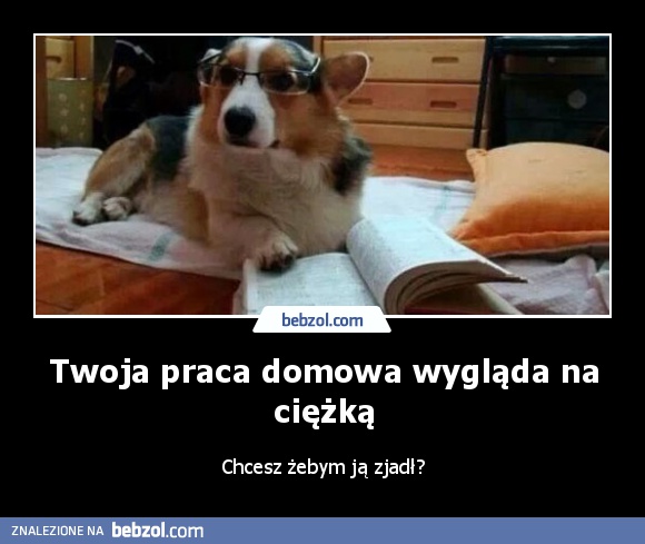 Twoja praca domowa wygląda na ciężką
