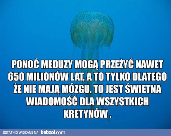 Świetna wiadomość!