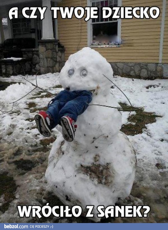 Powrót z sanek