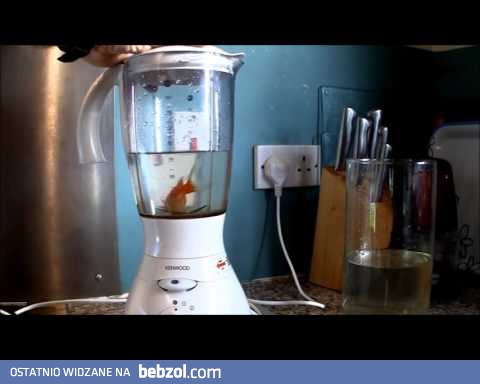 Złota rybka w mixerze