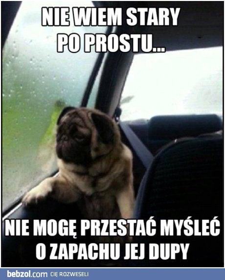 Pies też ma swoje problemy