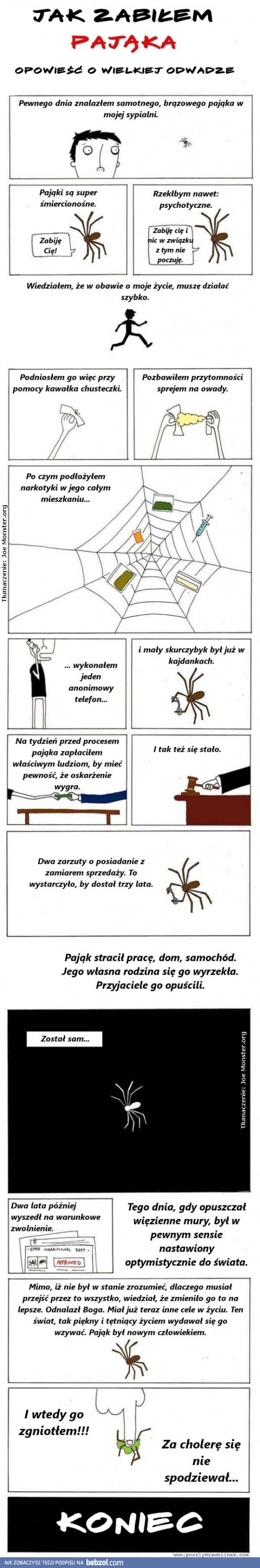 Jak poradziłem sobie z pająkiem