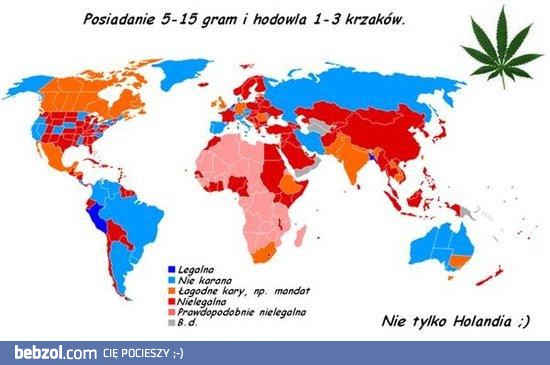 Marihuana na świecie