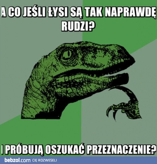 Łysi i rudzi