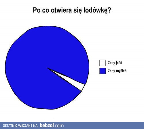 Po co otwieram lodówkę 