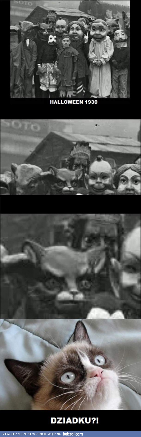 Dziadek Zrzędliwego Kota