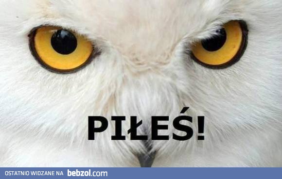 Piłeś!