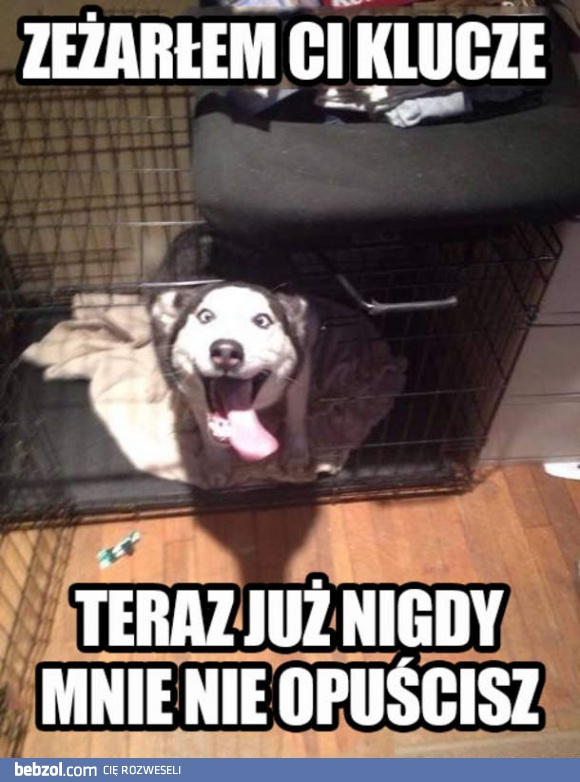 Już nigdy nie wyjdziesz!