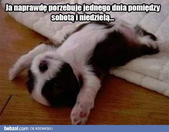 Przydałby się jeszcze jeden dzień