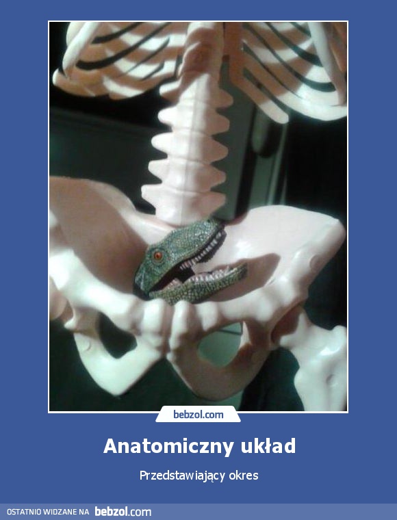 Anatomiczny układ
