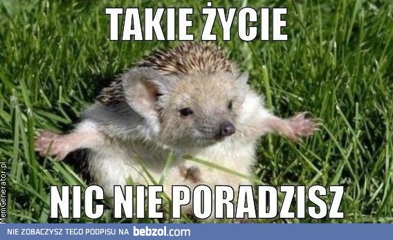 Takie życie